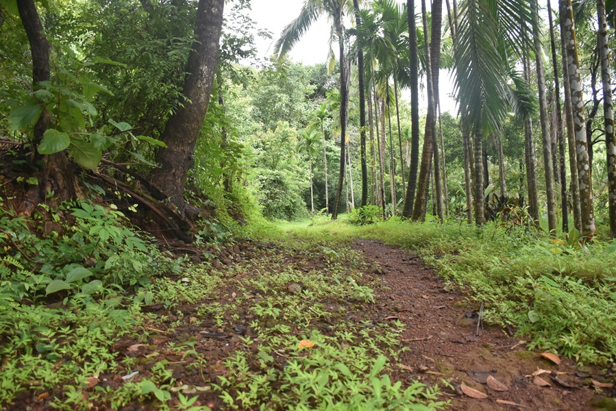 Homestay view 1